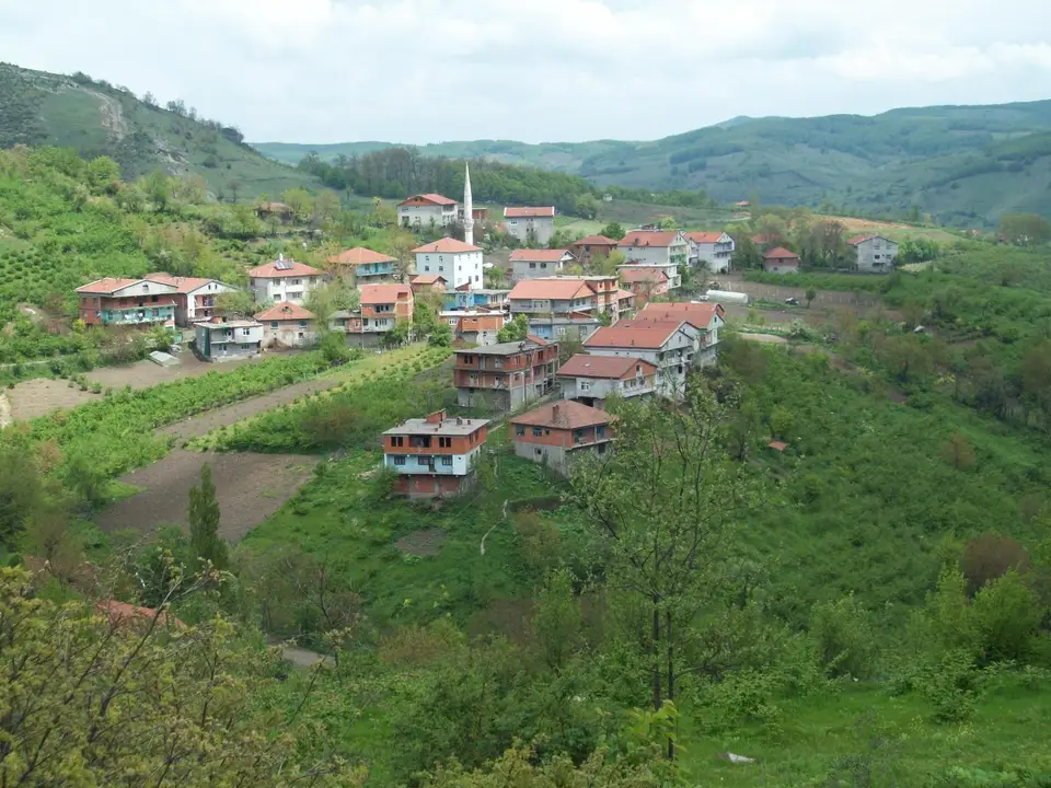 Aydın köyünden bir görünüm (Ereğli, Zonguldak)
