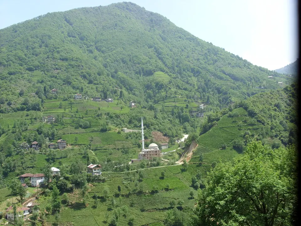 Asmalıırmak köyünden bir görünüm (Güneysu, Rize)