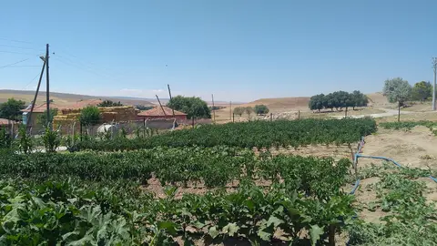 Ağaçören ilçesine bağlı Sofular Köyünden bir fotoğraf