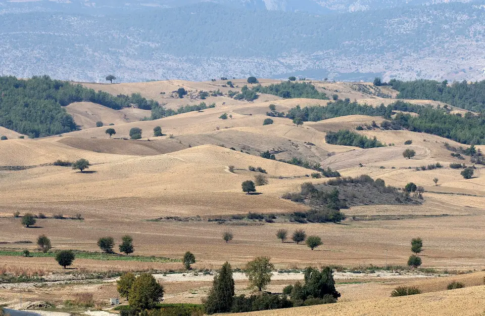Akçalı mahallesinden bir görünüm (Karaisalı, Adana)