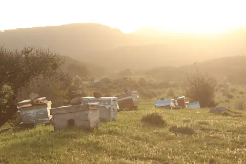 Sorgun mahallesinden bir görünüm (Güdül, Ankara)