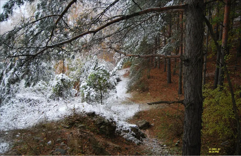 Gökçebağ mahallesinden bir görünüm (Ayaş, Ankara)