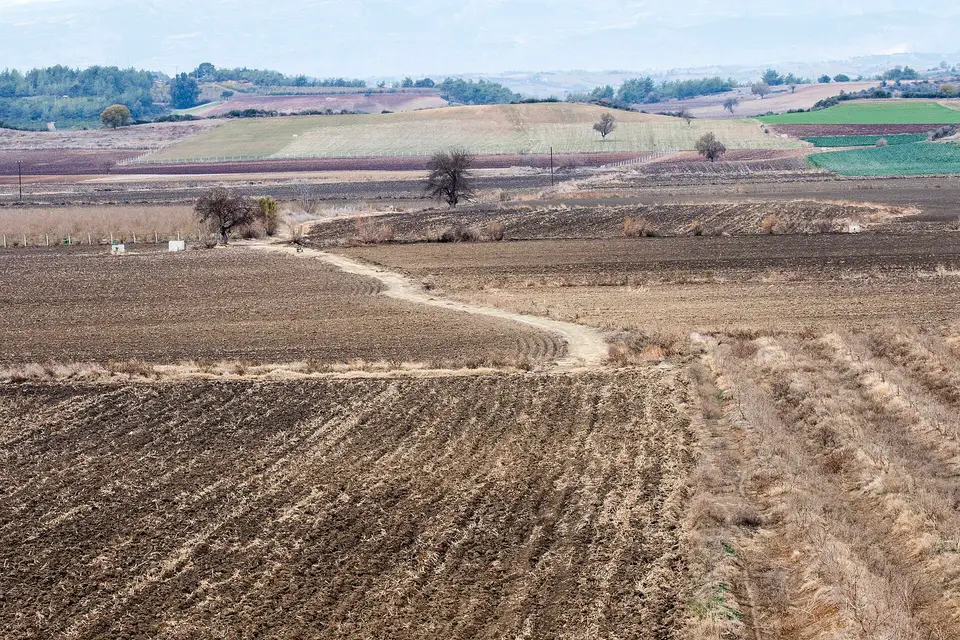 Ayvalı mahallesinden bir görünüm (Sarıçam, Adana)