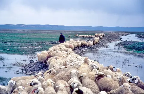 Gölbek mahallesinden bir görünüm (Gölbaşı, Ankara)