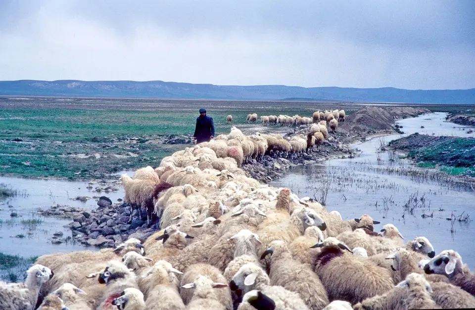 Gölbek mahallesinden bir görünüm (Gölbaşı, Ankara)