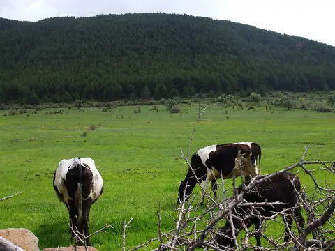 Bardakçılar mahallesinden bir görünüm (Çamlıdere, Ankara)