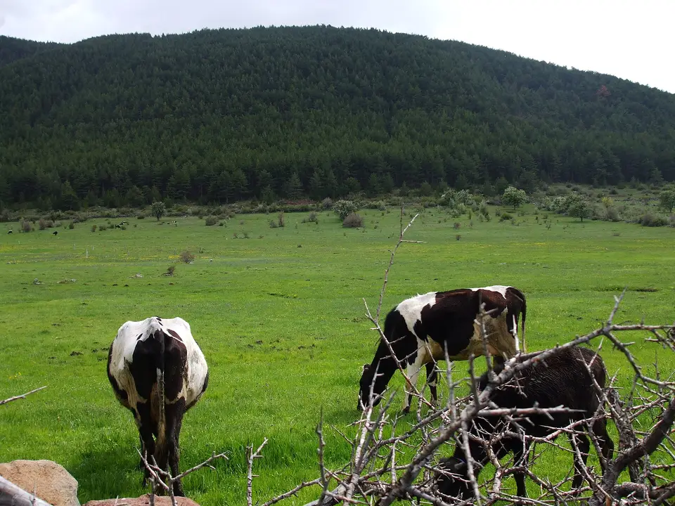 Bardakçılar mahallesinden bir görünüm (Çamlıdere, Ankara)