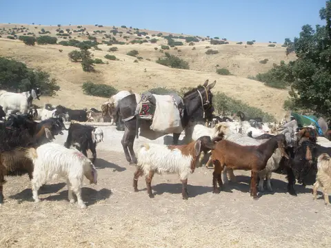 Fadıllı mahallesinden bir görünüm (Şereflikoçhisar, Ankara)
