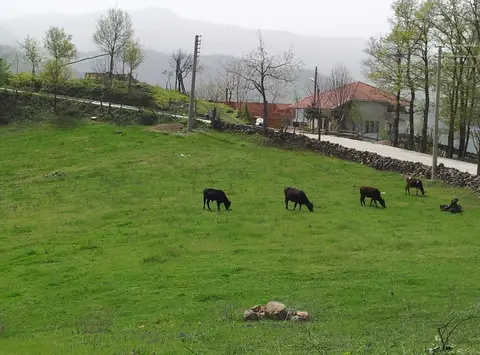 Camidüzü mahallesinden bir görünüm (Başiskele, Kocaeli)