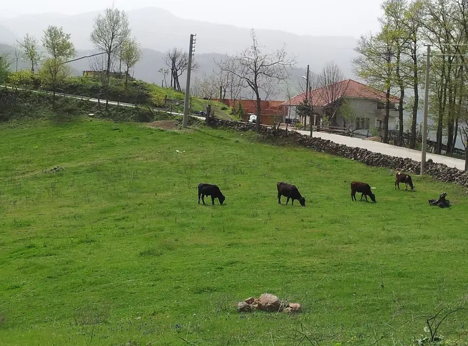 Camidüzü mahallesinden bir görünüm (Başiskele, Kocaeli)