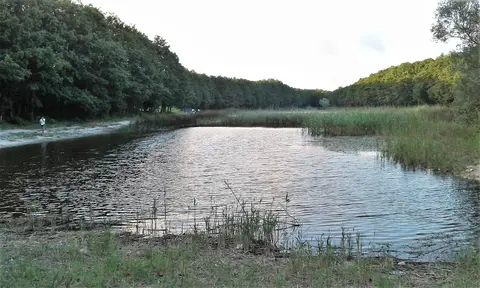 Danamandıra mahallesinden bir görünüm (Silivri, İstanbul)