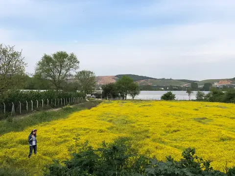 Cumhuriyet mahallesinden bir görünüm (Beykoz, İstanbul)
