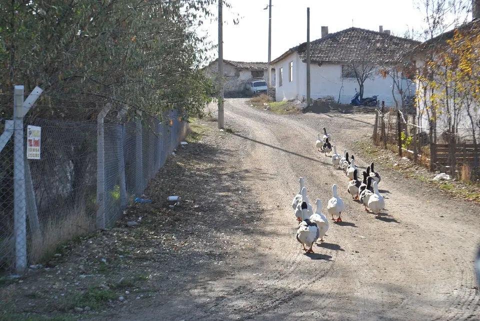 Yassıhüyük mahallesinden bir görünüm (Polatlı, Ankara)