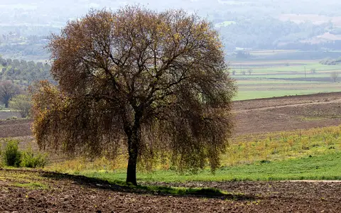 Çiçekli mahallesinden bir görünüm (Sarıçam, Adana)