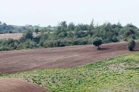 Sadıkali mahallesinden bir görünüm (Karaisalı, Adana)