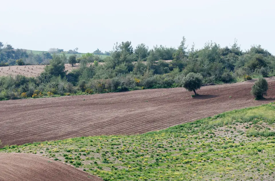 Sadıkali mahallesinden bir görünüm (Karaisalı, Adana)
