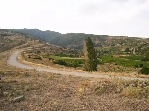 Tekirdağ'da Güzelköy yolu ve yol kenarındaki çalılar